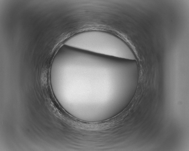 X0000079320010200611170942