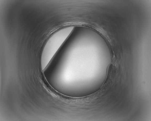 X0000079320013200611170942