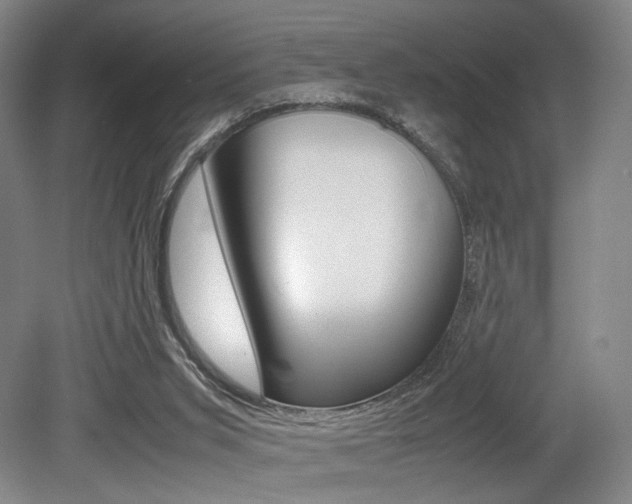 X0000079320015200611170942
