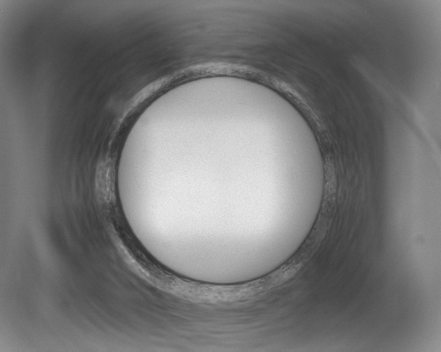 X0000079320016200611170942