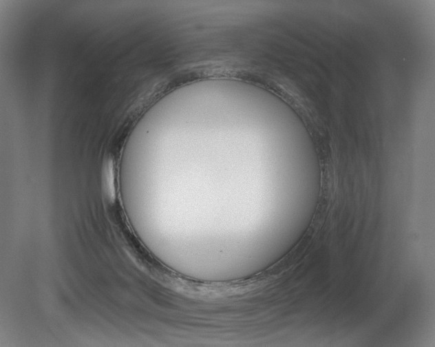 X0000079320022200611170942