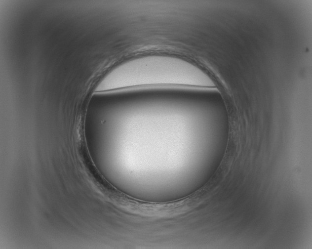 X0000079320023200611170942