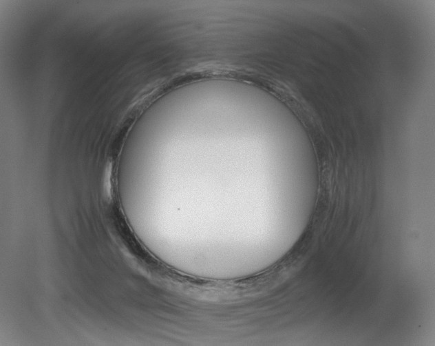 X0000079320024200611170942