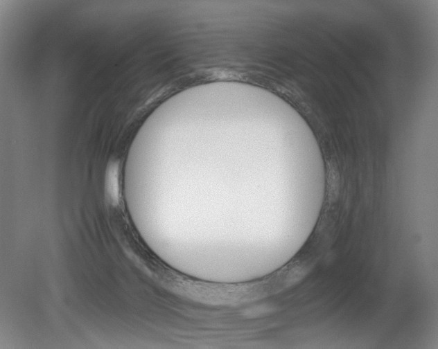 X0000079320028200611170942