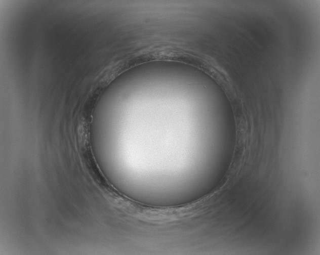 X0000079320029200611170942