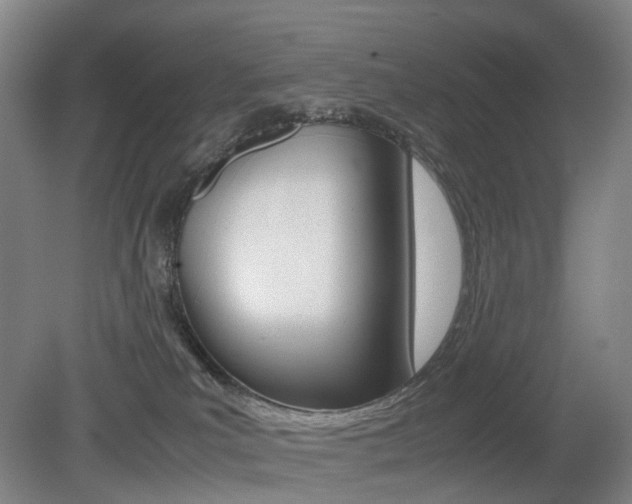 X0000079320039200611170942