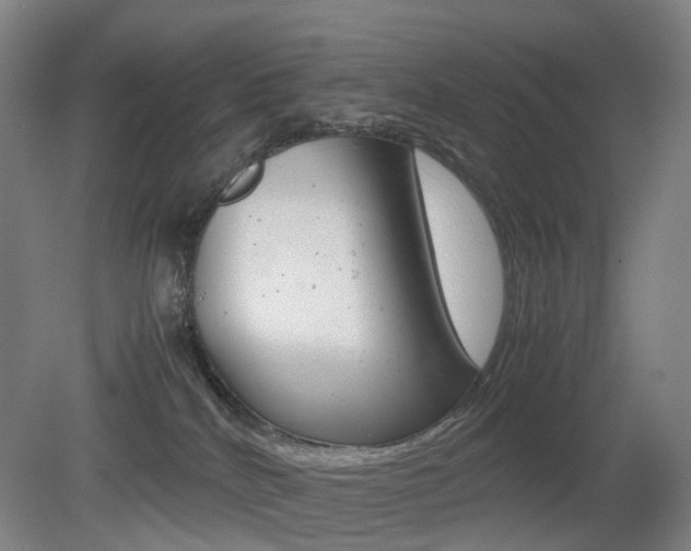 X0000079320040200611170942