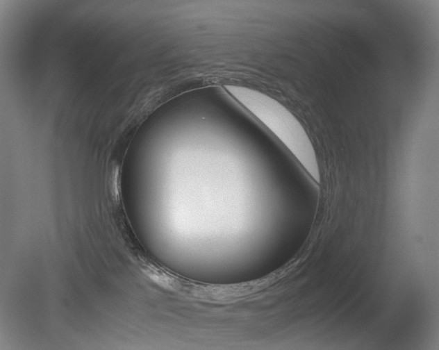 X0000079320041200611170942