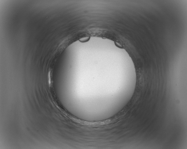 X0000079320042200611170942
