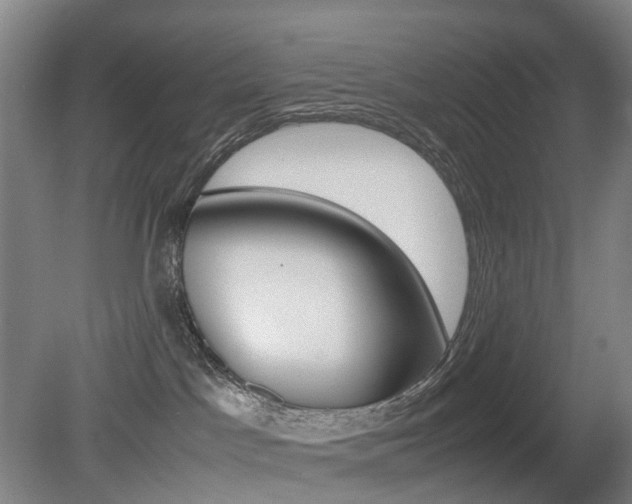 X0000079320045200611170942