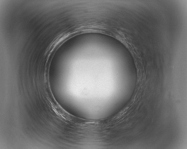 X0000079320050200611170941