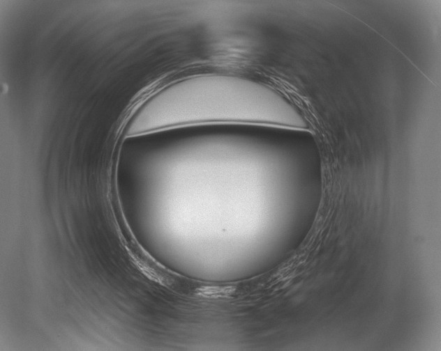 X0000079320051200611170941