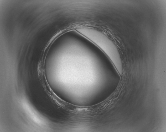 X0000079320052200611170941
