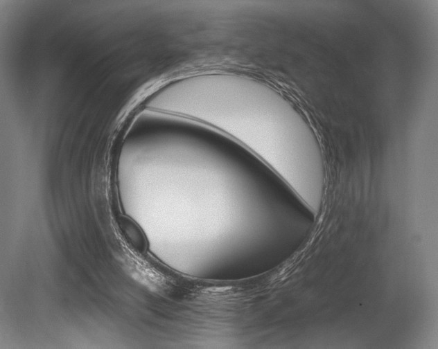 X0000079320054200611170941