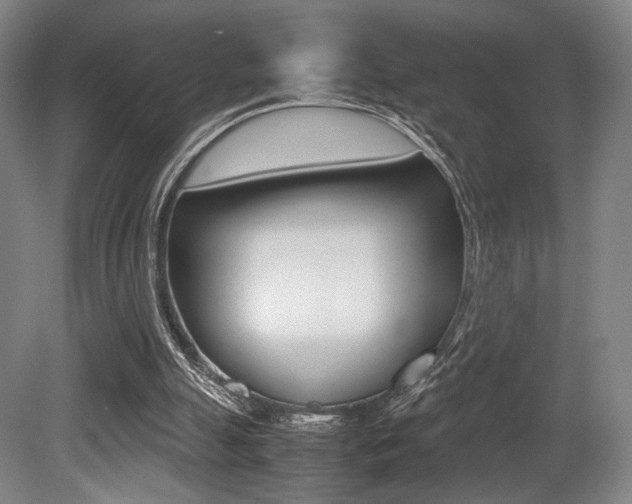 X0000079320055200611170941