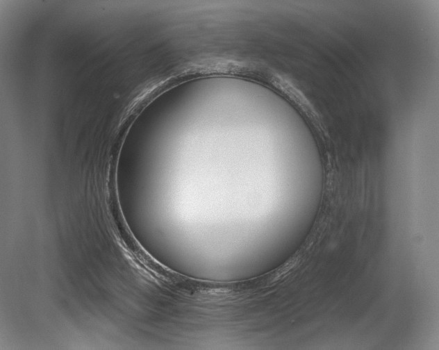 X0000079320058200611170941