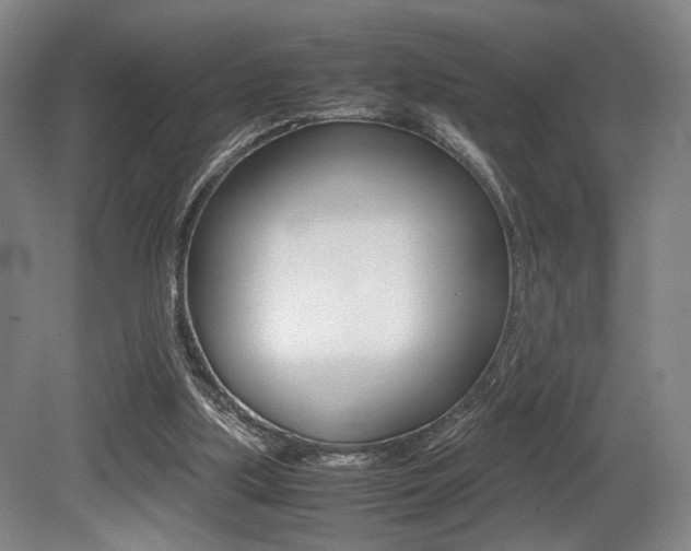 X0000079320059200611170941