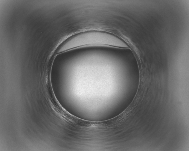 X0000079320060200611170941