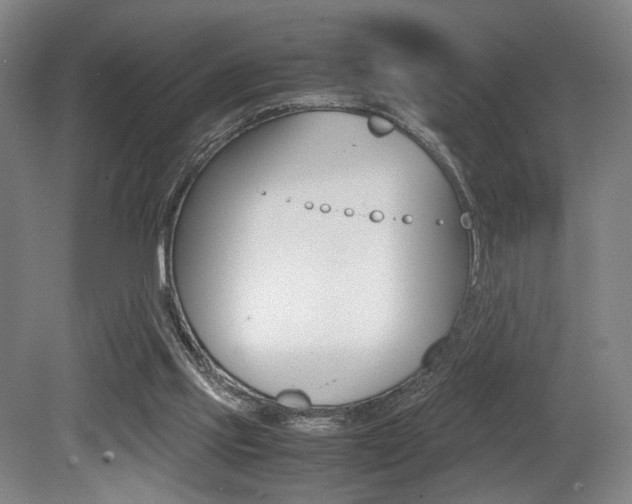 X0000079320061200611170941
