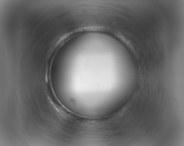 X0000079320062200611170941