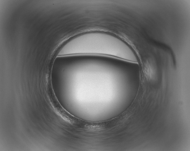 X0000079320063200611170941