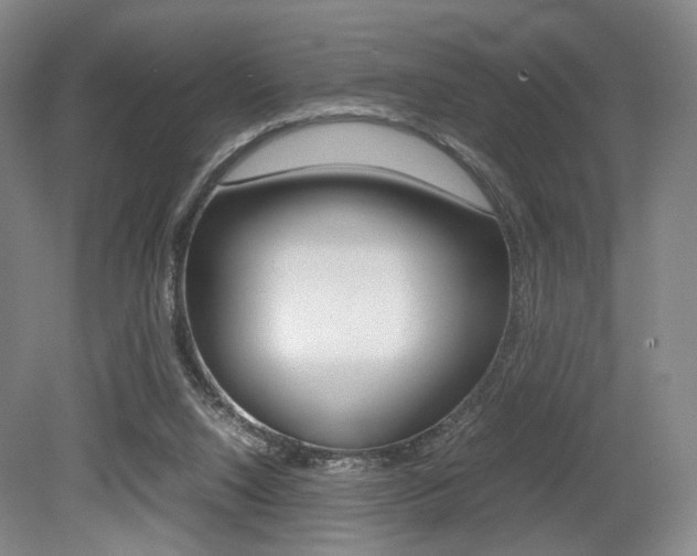 X0000079320064200611170941