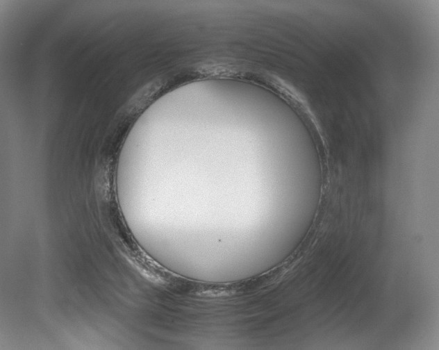 X0000079320065200611170941