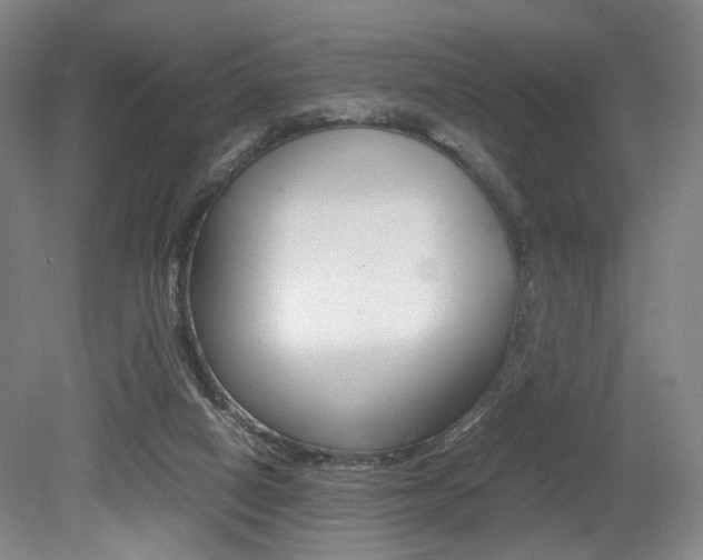 X0000079320066200611170941
