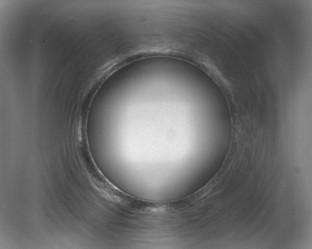 X0000079320068200611170941