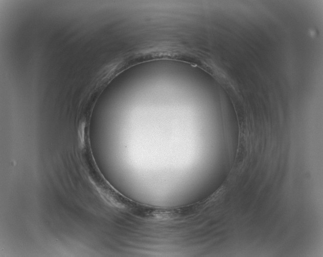 X0000079320070200611170941
