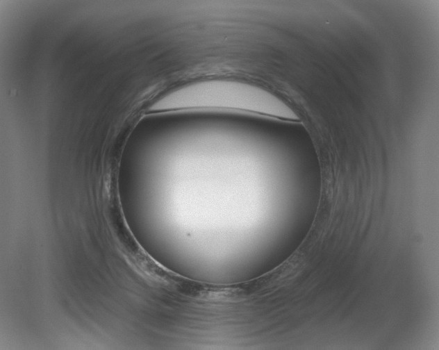 X0000079320072200611170941