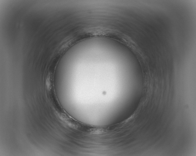 X0000079320074200611170941