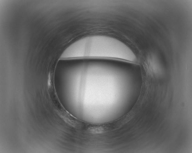 X0000079320075200611170941