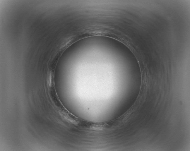 X0000079320076200611170941