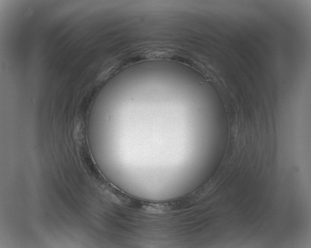 X0000079320079200611170941