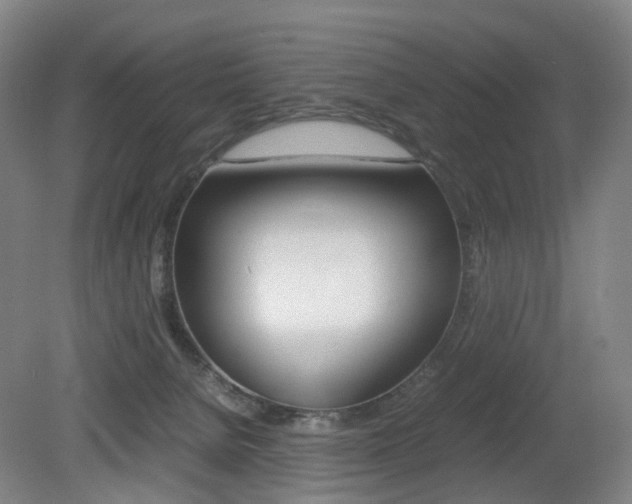 X0000079320080200611170941