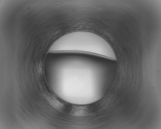 X0000079320081200611170941