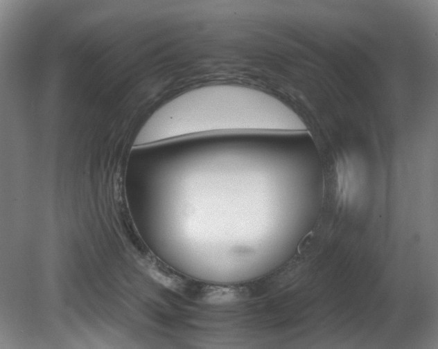 X0000079320083200611170941