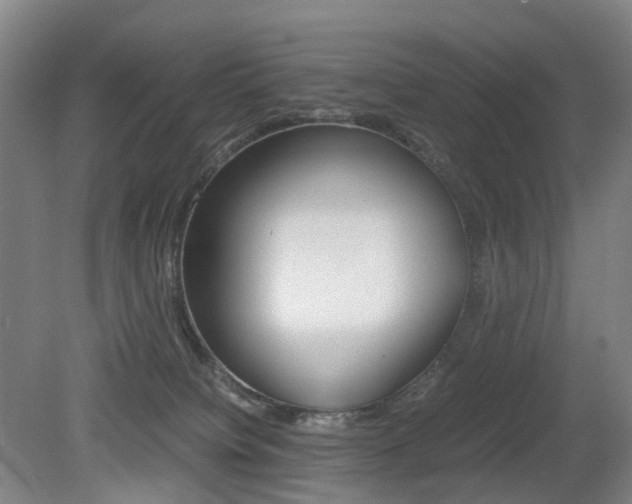 X0000079320084200611170941