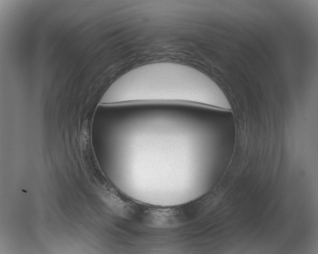 X0000079320085200611170941