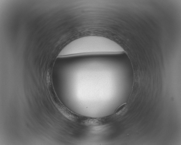 X0000079320086200611170941