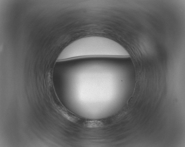 X0000079320087200611170941