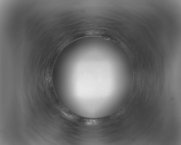 X0000079320091200611170941