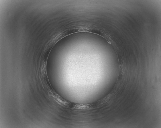 X0000079320093200611170941