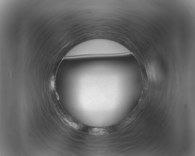 X0000079320095200611170942