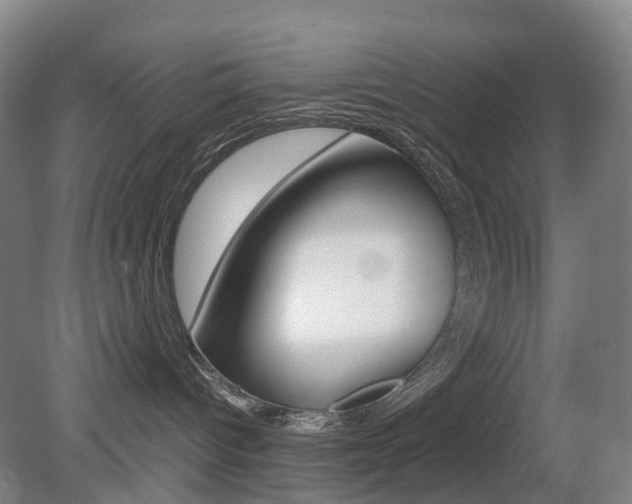 X0000079320096200611170942