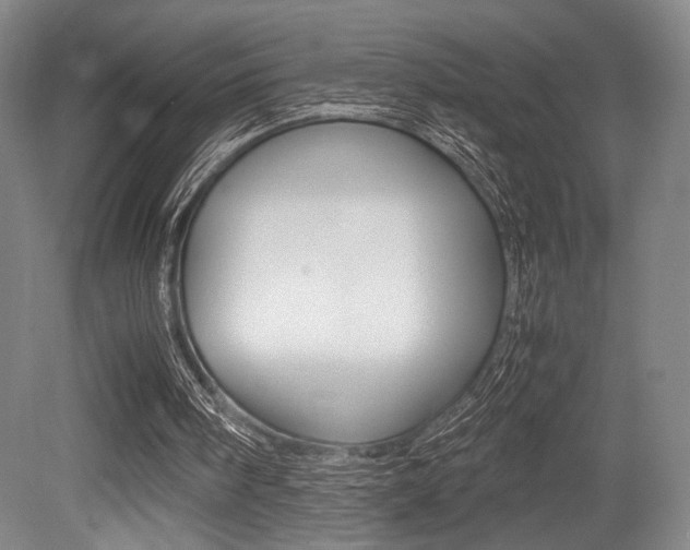 X0000079320098200611170941