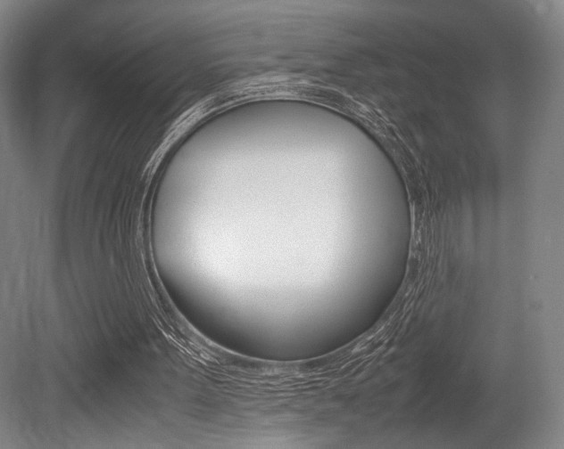 X0000079320099200611170941