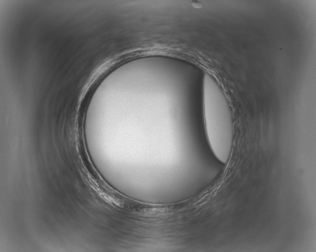 X0000079320102200611170941