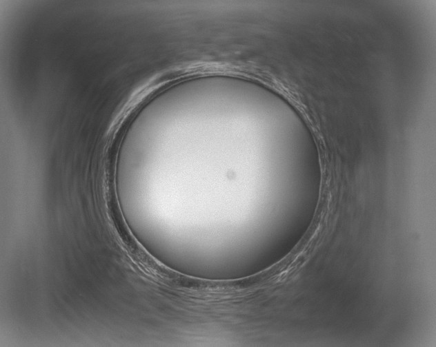 X0000079320103200611170941